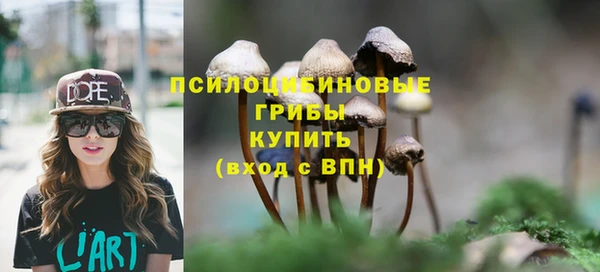 ПСИЛОЦИБИНОВЫЕ ГРИБЫ Богородицк