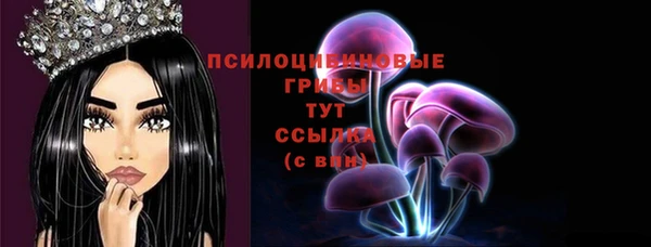 ПСИЛОЦИБИНОВЫЕ ГРИБЫ Богородицк