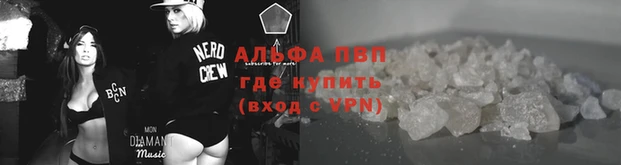 ПСИЛОЦИБИНОВЫЕ ГРИБЫ Богородицк