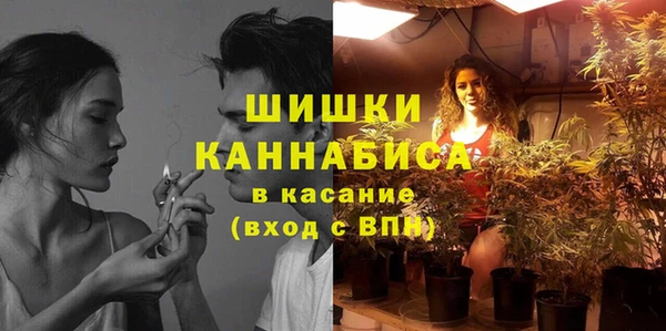 ПСИЛОЦИБИНОВЫЕ ГРИБЫ Богородицк