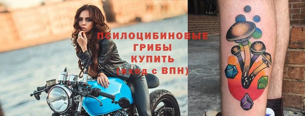 амфетамин Богданович