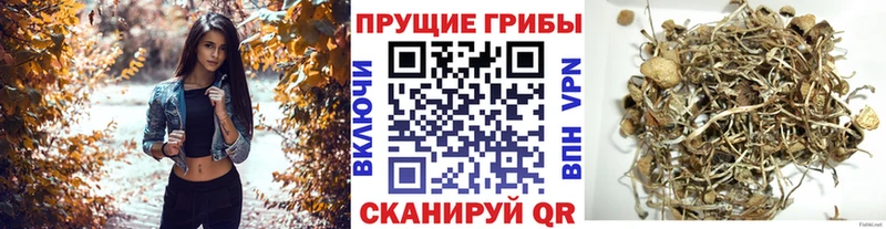 Галлюциногенные грибы ЛСД  Уфа 