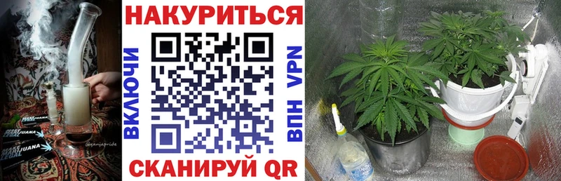 omg зеркало  Уфа  сайты даркнета официальный сайт  Марихуана OG Kush 